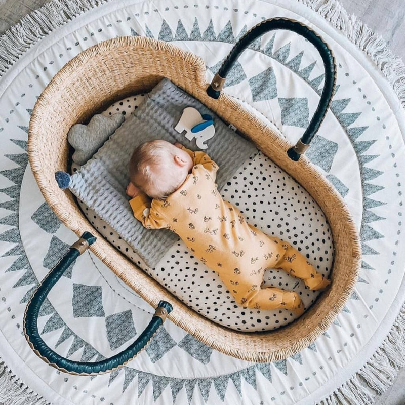 baby Moses Basket