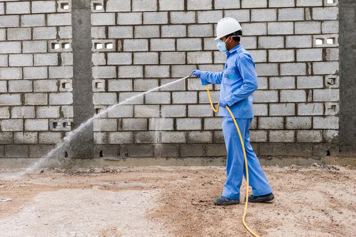 North Phoenix termite control