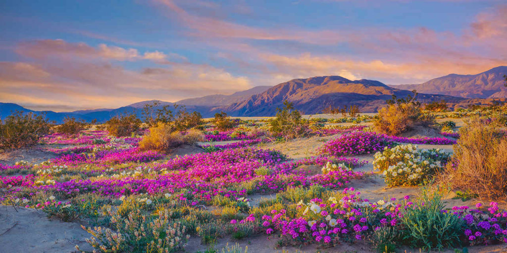 california national parks